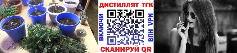 ТГК жижа  Багратионовск 